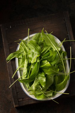 Taze, ilkbahar, salata için ekşi doru, sade bir hayat.