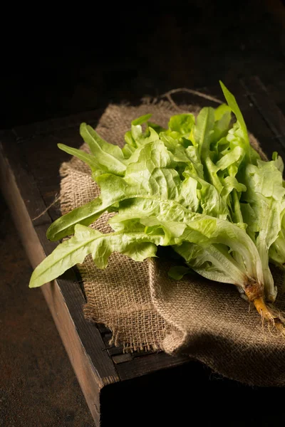 Frischer Saftiger Grüner Salat Stilleben Rustikalen Stil — Stockfoto
