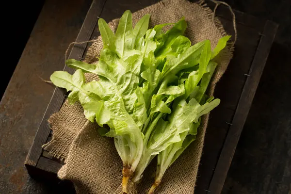 Frisse Sappige Groene Salade Stilleven Rustieke Stijl — Stockfoto