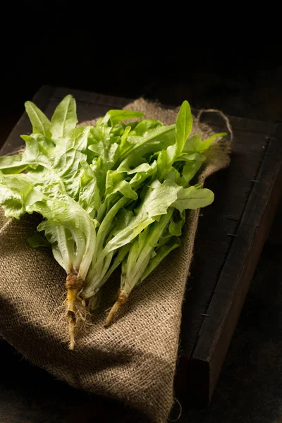 Frischer Saftiger Grüner Salat Stilleben Rustikalen Stil — Stockfoto