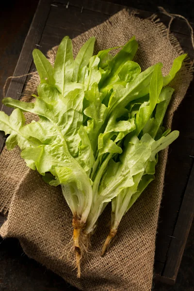 Frischer Saftiger Grüner Salat Stilleben Rustikalen Stil — Stockfoto