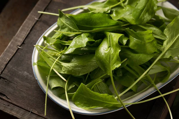 Fresco Primavera Acedera Agria Para Ensalada Naturaleza Muerta Estilo Rústico —  Fotos de Stock