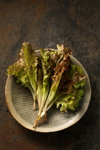 Heerlijke Gezonde Biologische Salade Met Anthocyanine Een Voordelig Antioxidant Stilleven — Stockfoto