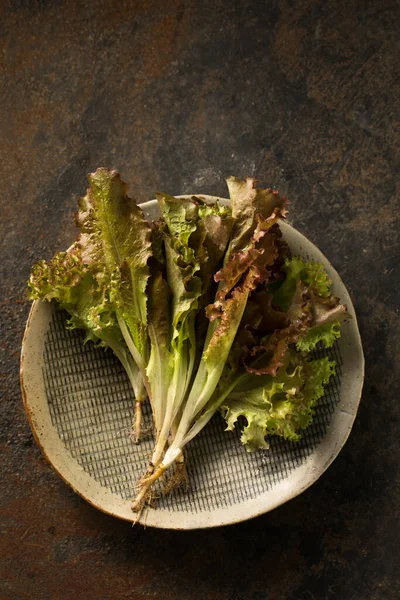 Ensalada Orgánica Saludable Deliciosa Con Antocianina Antioxidante Beneficioso Naturaleza Muerta —  Fotos de Stock