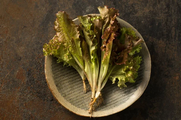 Anthocyanin Enfes Sağlıklı Organik Salata Yararlı Bir Antioksidan — Stok fotoğraf