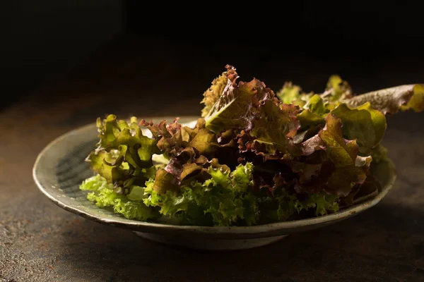 Anthocyanin Enfes Sağlıklı Organik Salata Yararlı Bir Antioksidan — Stok fotoğraf