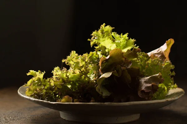 Köstlicher Gesunder Bio Salat Mit Anthocyanin Einem Wohltuenden Antioxidans Stilleben — Stockfoto