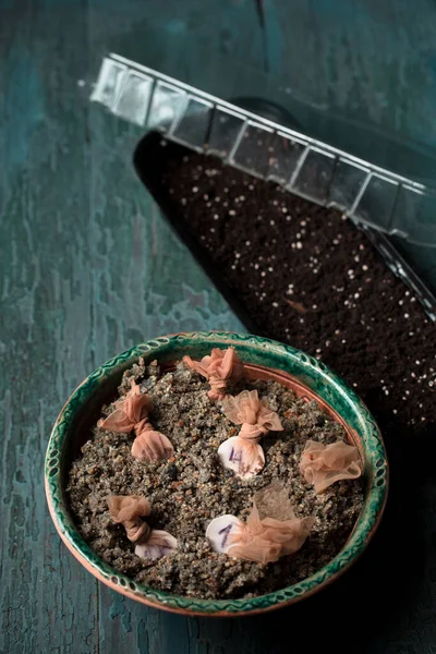 草莓种子在湿沙地中的分层 花园静物 — 图库照片