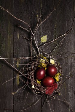 Güzel bordo Paskalya yumurtaları ahşap arka planda bir yuvada kırsal tarzdaki Paskalya konsepti