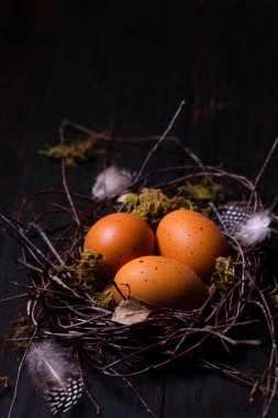 Ahşap arka planda bir yuvadaki güzel Paskalya yumurtaları. Köy tarzında Paskalya konsepti