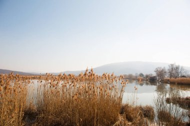 Gölden Kara Dağ 'a, Vynohradiv' e, Transcarpathian bölgesine güzel bir ilkbahar manzarası.