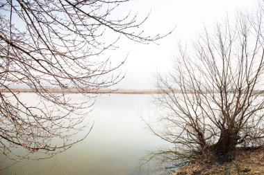 Gölden Kara Dağ 'a, Vynohradiv' e, Transcarpathian bölgesine güzel bir ilkbahar manzarası.