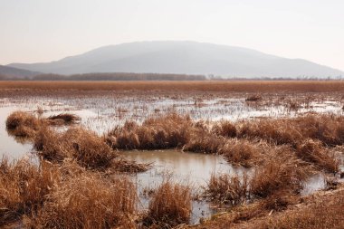 Gölden Kara Dağ 'a, Vynohradiv' e, Transcarpathian bölgesine güzel bir ilkbahar manzarası.