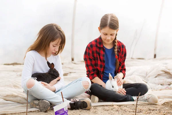 Duas Meninas Com Coelhos Brincam Estufa Conceito Páscoa — Fotografia de Stock