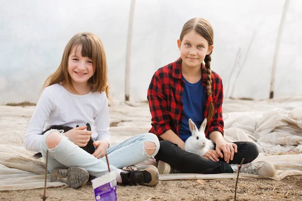 Dua Gadis Dengan Kelinci Bermain Rumah Kaca Konsep Paskah — Stok Foto