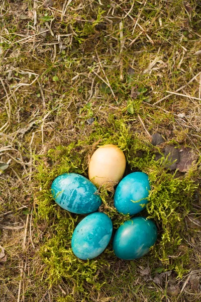 Пасхальные Яйца Желто Синих Тонах Украинского Флага — стоковое фото