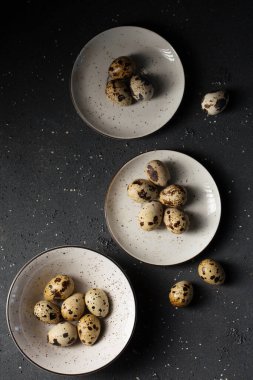 Benekli tabaklardaki bıldırcın yumurtaları gri arka planda.