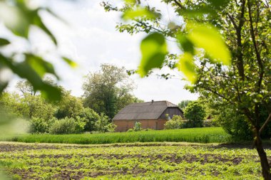 Tuğladan evi ve sebze bahçesi olan kırsal alan.