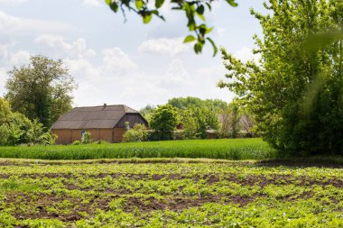 Tuğladan evi ve sebze bahçesi olan kırsal alan.
