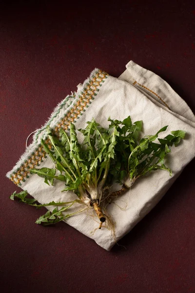 Fresh Dandelion Greens Spring Vitamin Salad — Stock Photo, Image