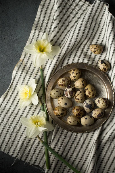 Quail Eggs Metal Plate Spring Daffodils — Stock Photo, Image