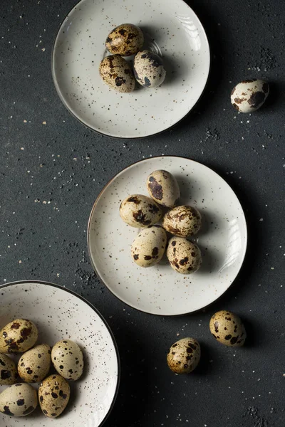 Quail Eggs Speckled Plates Gray Background — Stock Photo, Image