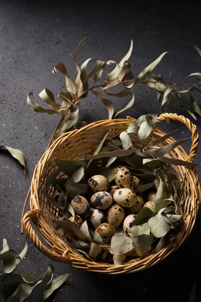 Quail Eggs Basket Eucalyptus Branches — Stock Photo, Image