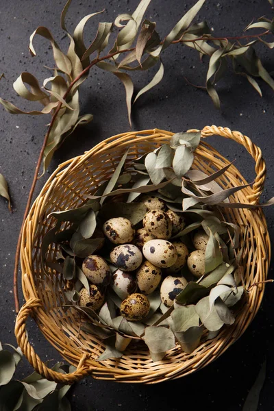 Quail Eggs Basket Eucalyptus Branches — Stock Photo, Image