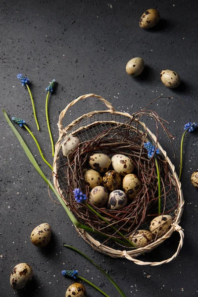 Quail Eggs Basket Spring Muscari Flowers — Stock Photo, Image