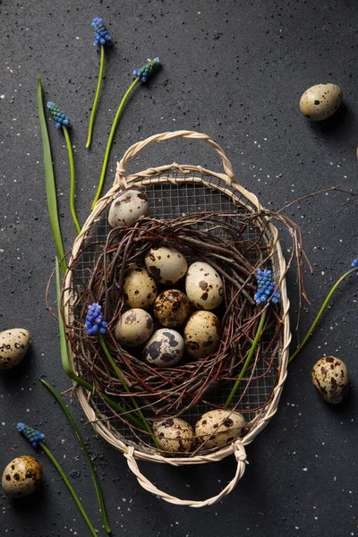 Quail Eggs Basket Spring Muscari Flowers — Stock Photo, Image