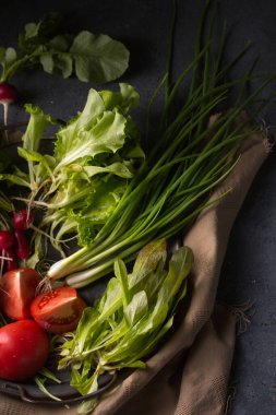 Bahar salatası için taze ot ve sebze.