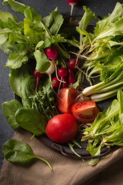 Bahar salatası için taze ot ve sebze.
