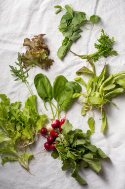 Bahar salatası için taze ot ve sebze.