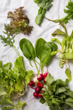 Bahar salatası için taze ot ve sebze.