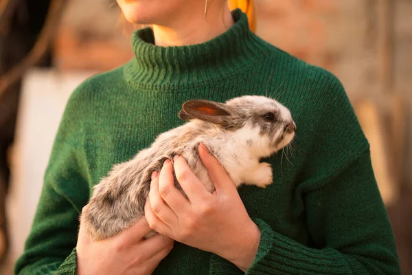 Young Woman Green Sweater Holds Small Rabbit Her Hands — Stock Photo, Image