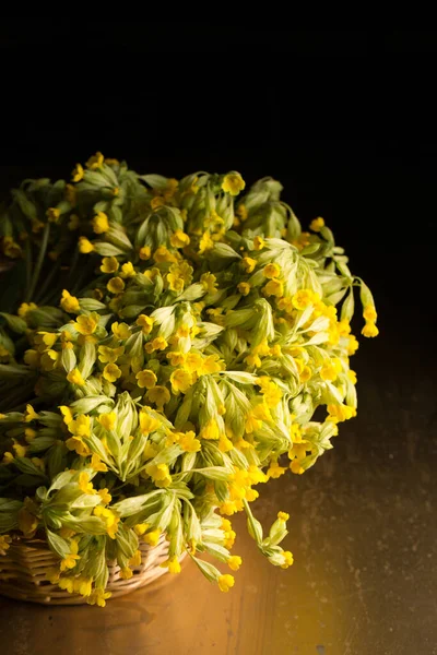 Bouquet Onagre Jaune Dans Panier Vigne — Photo