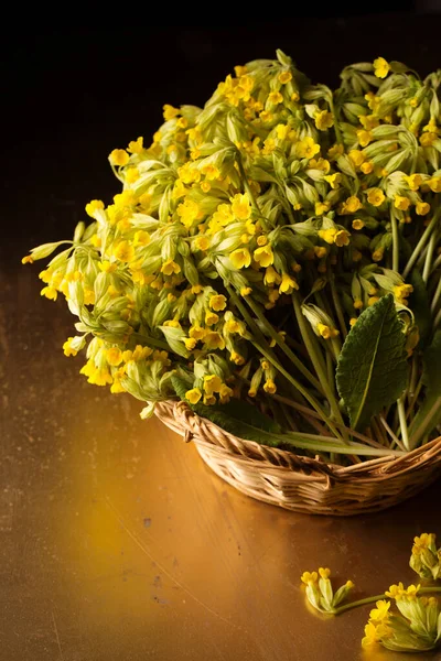 Букет Желтого Первоцвета Виноградной Корзине — стоковое фото