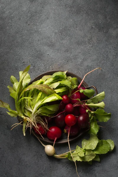 トレイの上に新鮮な緑のサラダとクリスピーな大根 — ストック写真