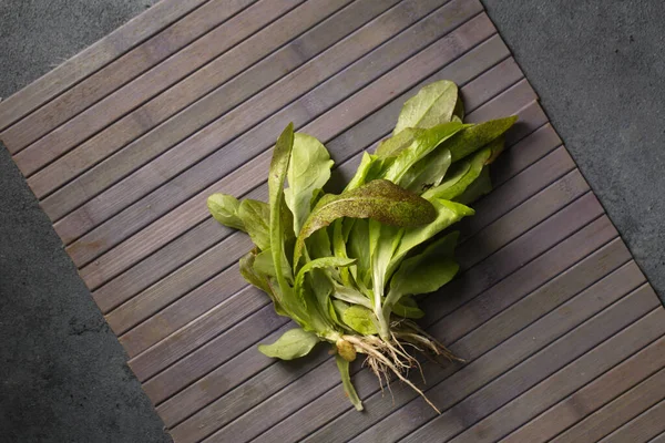 Ein Bündel Frischer Grüner Salat Auf Grauem Hintergrund — Stockfoto