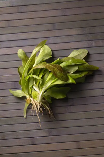 Ein Bündel Frischer Grüner Salat Auf Grauem Hintergrund — Stockfoto