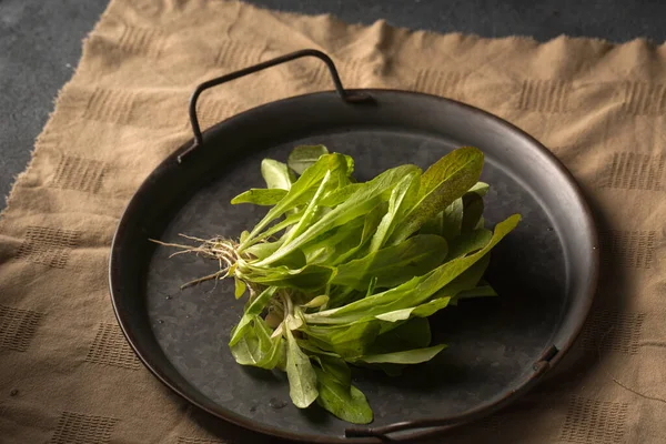 Egy Rakás Friss Zöld Saláta Egy Fémtálcán — Stock Fotó
