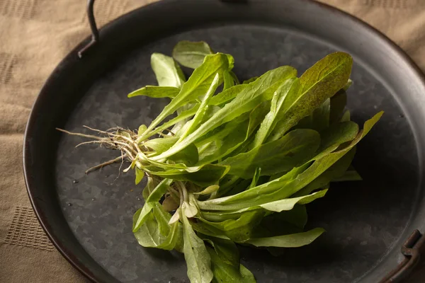 Ein Bündel Frischer Grüner Salat Auf Einem Metalltablett — Stockfoto