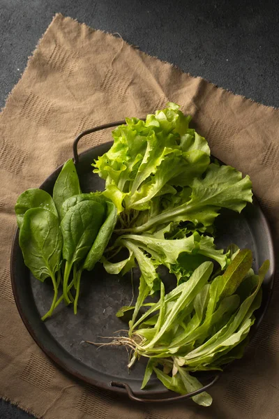 春色拉用两种生菜和菠菜 — 图库照片