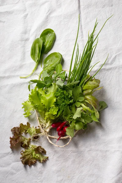 Hierbas Verduras Frescas Para Ensalada Primavera —  Fotos de Stock