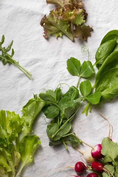 Friss Fűszernövények Zöldségek Tavaszi Salátához — Stock Fotó