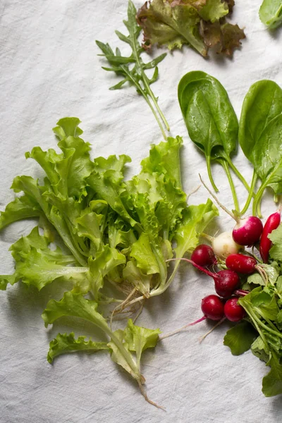 Frische Kräuter Und Gemüse Für Frühlingssalat — Stockfoto