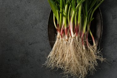 Koyu arkaplanda yeşil sarımsak yaprakları.