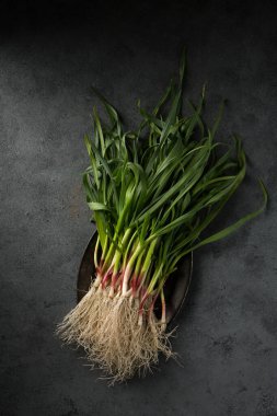 Koyu arkaplanda yeşil sarımsak yaprakları.