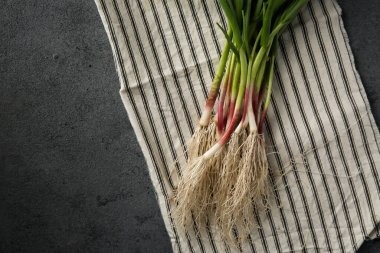 Koyu arkaplanda yeşil sarımsak yaprakları.