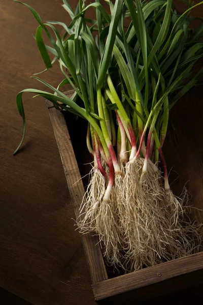 Bunch Young Green Garlic Leaves Dark Background — Foto Stock